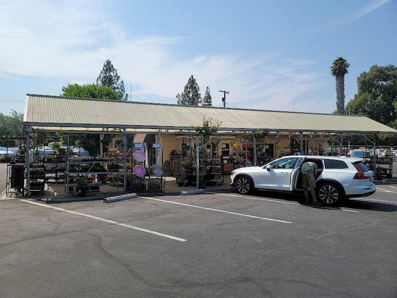 Almaden Valley Nursery