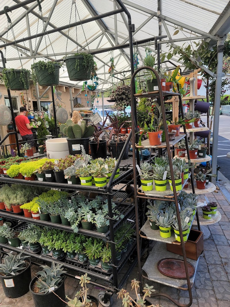 Almaden Valley Nursery photo 3