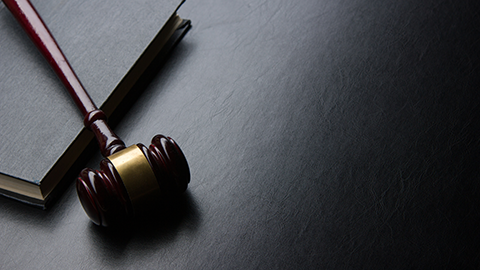 Bonnie S. Hollier, PC