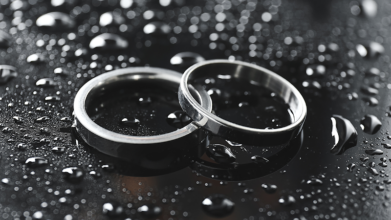 Bonnie S. Hollier, PC photo 2