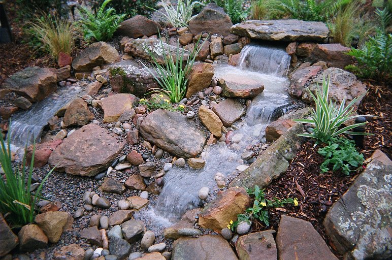 COASTAL LANDSCAPE SERVICES photo 2