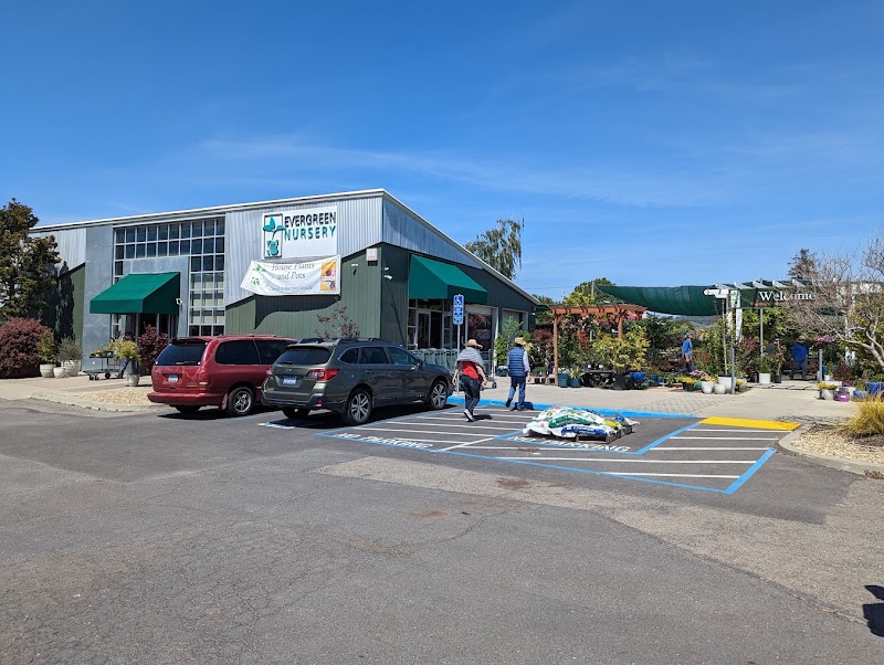 Evergreen Nursery