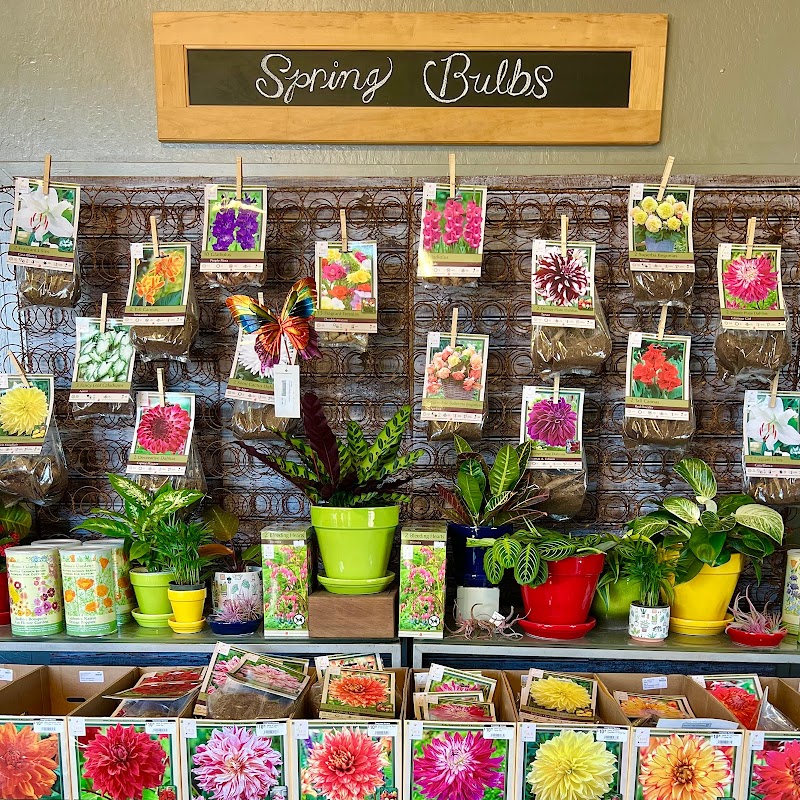 Evergreen Nursery photo 2