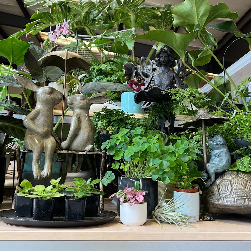 Evergreen Nursery photo 3