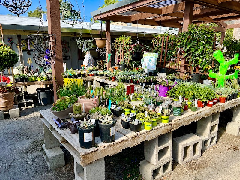 King's Nursery photo 2