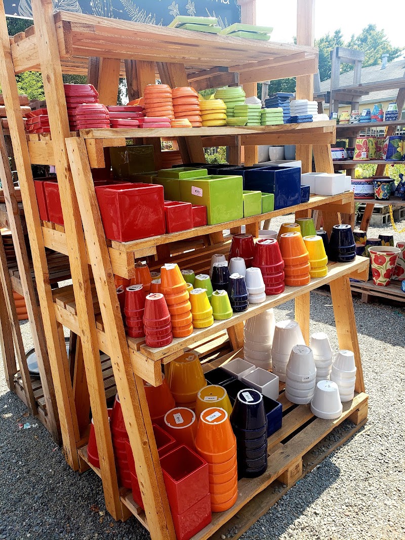 King's Nursery photo 3