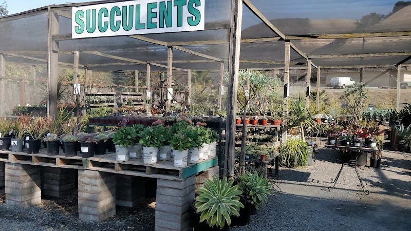 Lisa Arnold Nursery Sales