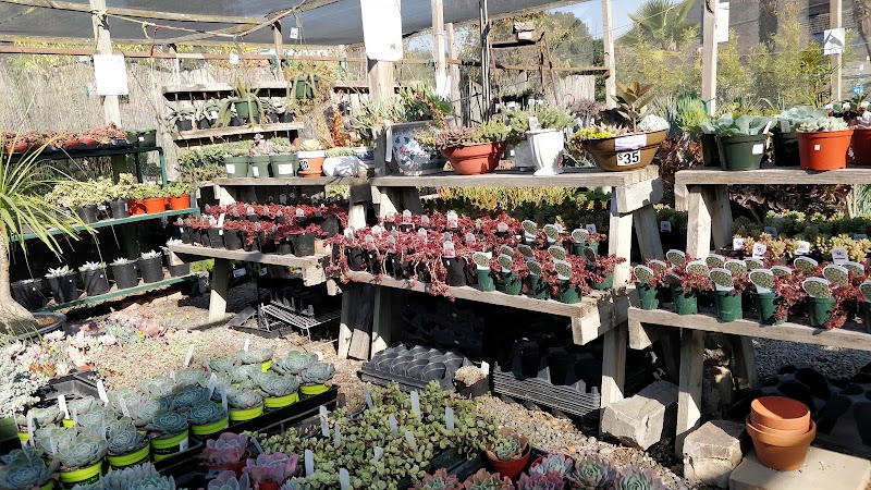 Lisa Arnold Nursery Sales photo 2