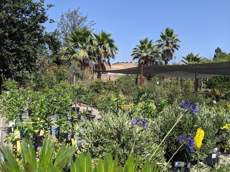 Lisa Arnold Nursery Sales photo 3