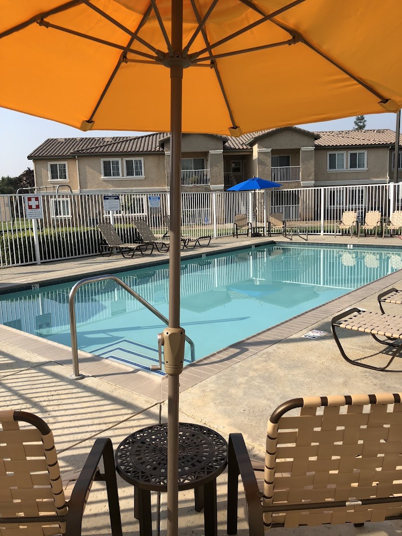 Los Arboles Apartments photo 2