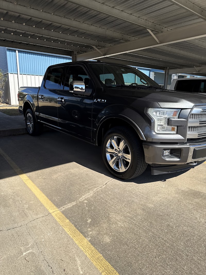 Mike Willis Ford Orange photo 3