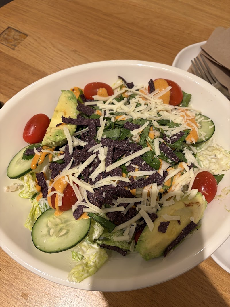 Panera Bread photo 3