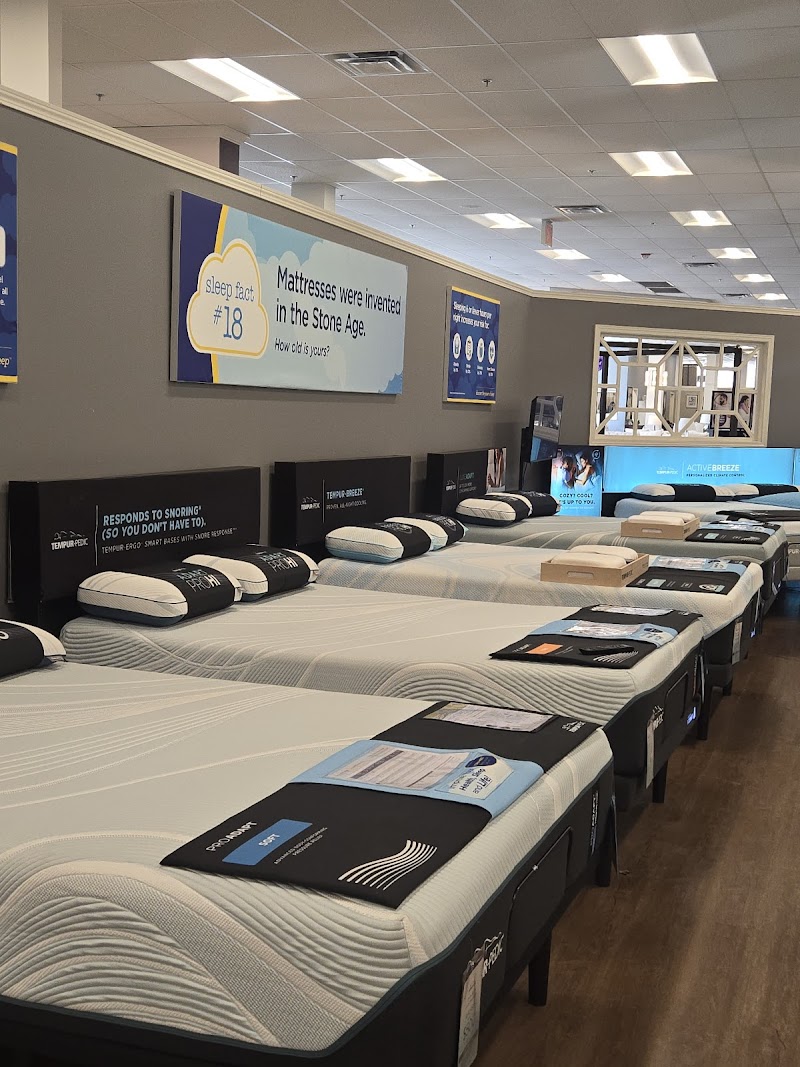 Raymour & Flanigan Furniture and Mattress Store photo 2