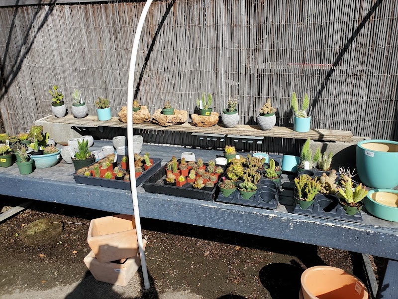 Regan Nursery photo 2