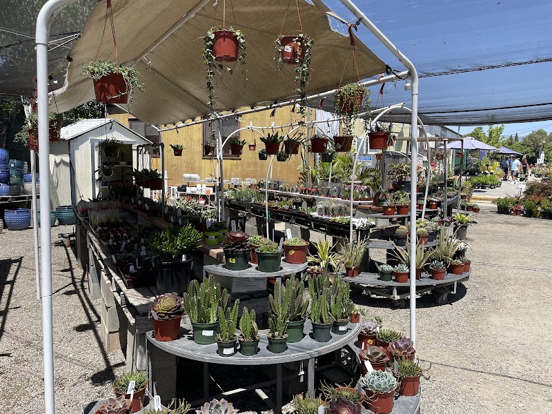 Regan Nursery photo 3