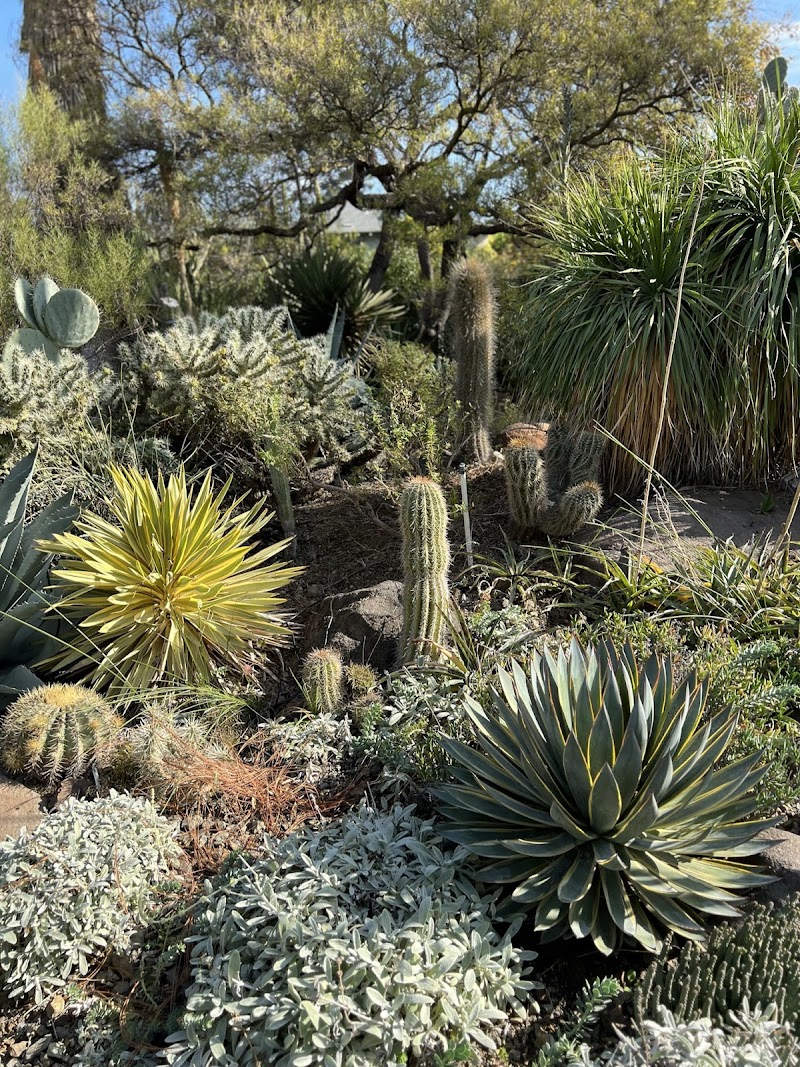 The Ruth Bancroft Garden & Nursery photo 2
