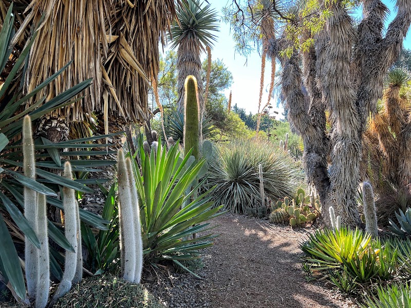 The Ruth Bancroft Garden & Nursery photo 3