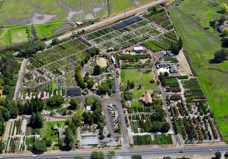Urban Tree Farm Nursery
