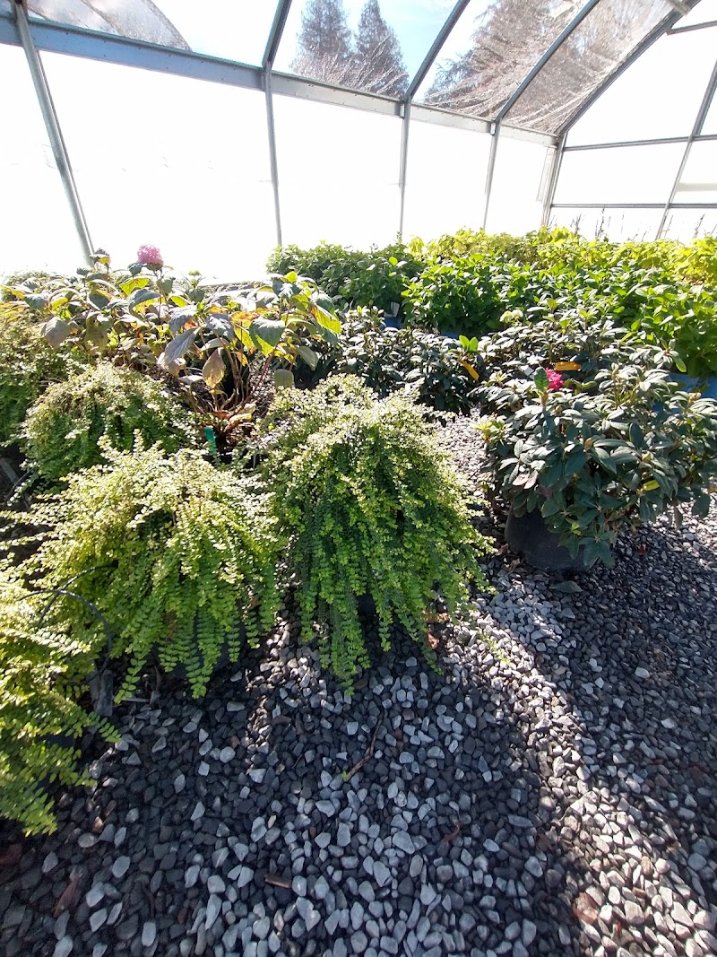 Urban Tree Farm Nursery photo 3